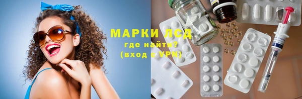 сатива Новодвинск
