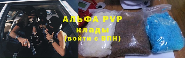 сатива Новодвинск