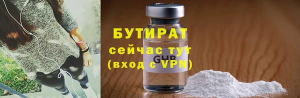 сатива Новодвинск