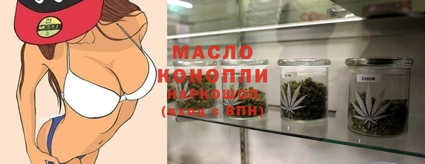 сатива Новодвинск
