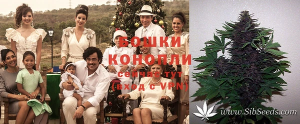 гашиш Новозыбков
