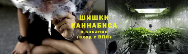 эйфоретик Новокубанск