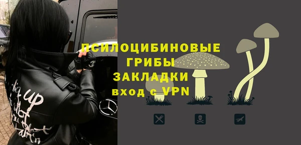 сатива Новодвинск