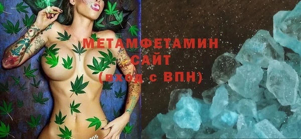 сатива Новодвинск