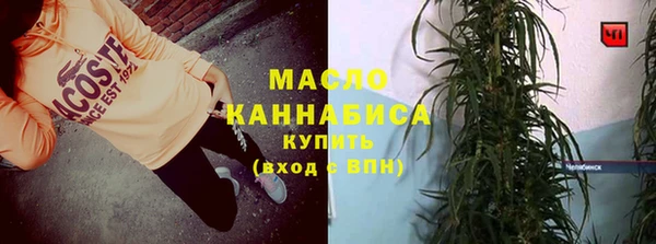 сатива Новодвинск