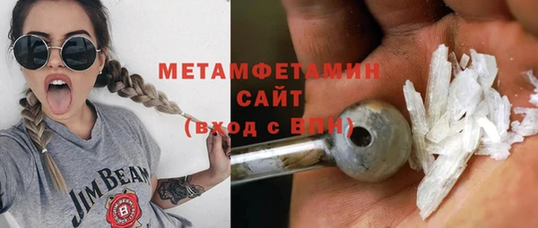 сатива Новодвинск