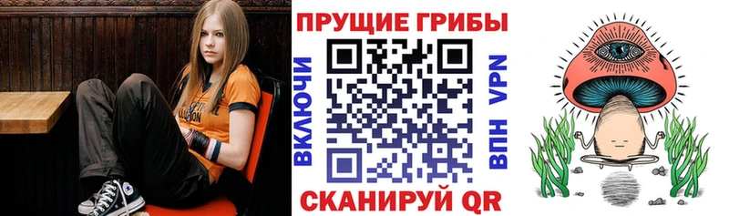 нарко площадка Telegram  Новая Усмань  Псилоцибиновые грибы мухоморы  где продают наркотики 